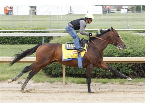 How to pick a Derby winner - EQUINE Ink