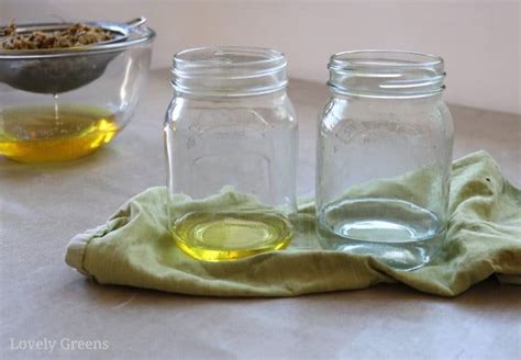 Homemade Chamomile Lotion Recipe • Lovely Greens