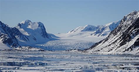 Spitsbergen, Wildlife capital of the arctic – BRU&BRU