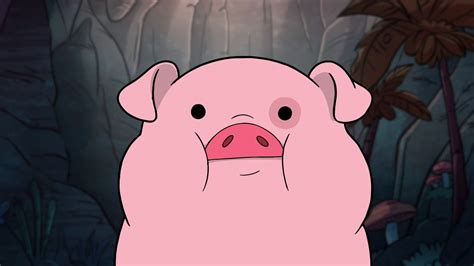 16 Facts About Waddles (Gravity Falls) - Facts.net