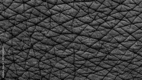 Elephant skin texture background, Asian elephant skin texture, Asian elephant reveals the ...