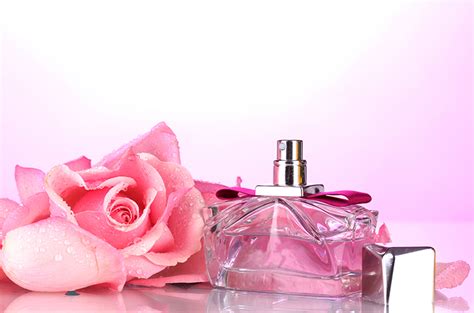 Top 10 Floral Perfumes for Women | Feeling Sexy