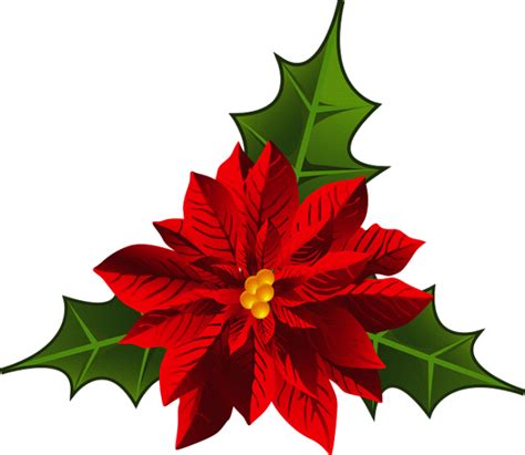 GIFS : FLORES DE NAVIDAD Christmas Clipart, Christmas Images, Christmas ...