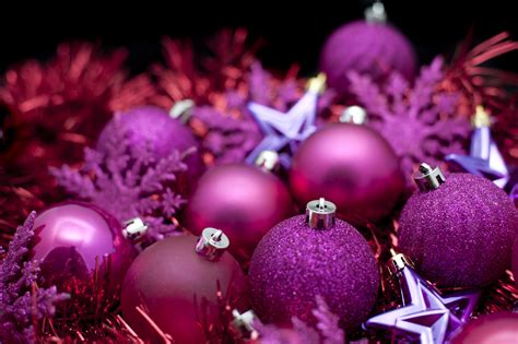 Free Stock Photo 6825 Purple Christmas celebration | freeimageslive
