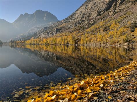 FALL COLORS – Visit June Lake Loop