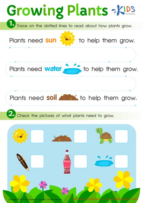 Plant Care Worksheet For Kids, 40% OFF | www.elevate.in