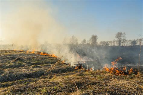 A Natural Disaster. Fire in Nature Stock Image - Image of landscapes ...