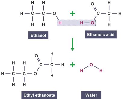 sulfuric acid reacts with sodium hydroxide