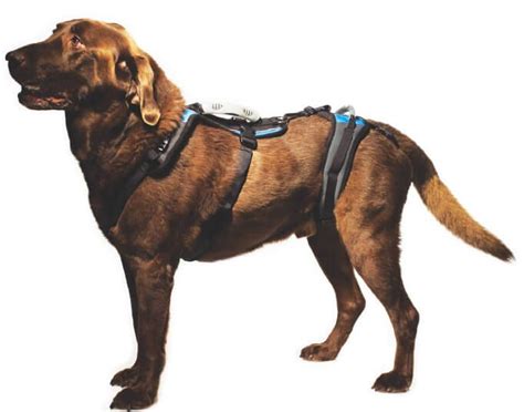 Help 'Em Up® – Dog Mobility Harness l Hip Dysplasia | Dog harness, Dog hip dysplasia, Dog sling