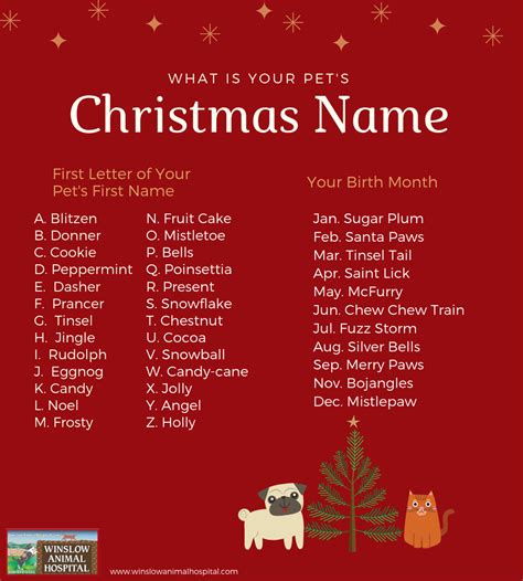 What is Your Pet's Christmas Name?