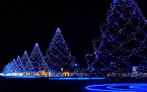 Christmas Lights Wallpapers HD Pictures | One HD Wallpaper Pictures ...