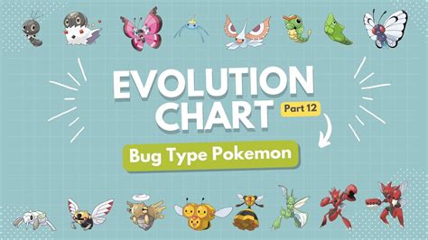 Evolution Chart part 12 Bug Pokemon 1 - YouTube