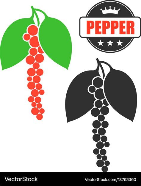 Black pepper Royalty Free Vector Image - VectorStock