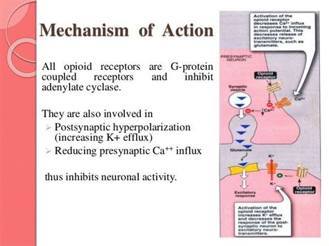 Narcotic Analgesics Slideshare