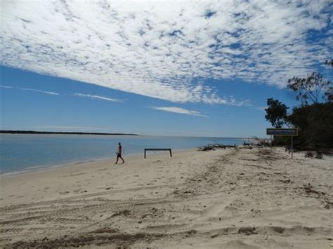 Camping at Inskip near Rainbow Beach: Family and Dog Friendly