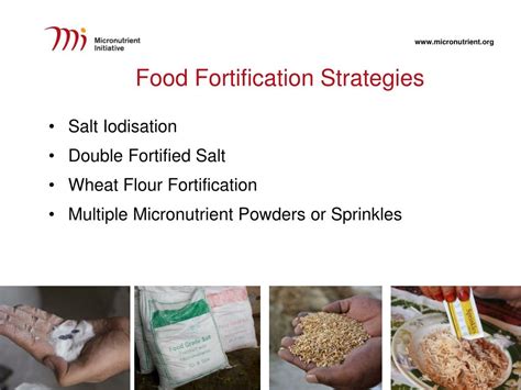 PPT - Experiences with Food Fortification in Asia PowerPoint Presentation - ID:2090426