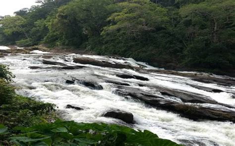 Vazhachal Waterfalls Thrissur, Timings, Entry Fee, Things to do