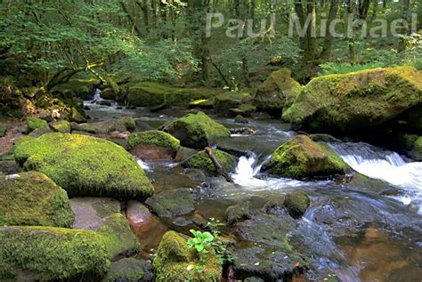 Bodmin Moor – Paul Michael Photography