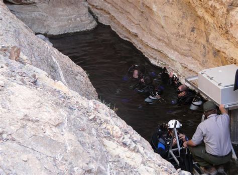 Climate change puts endangered Devils Hole pupfish at risk of extinction