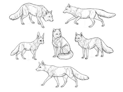 Sitting Fox Drawing at GetDrawings | Free download