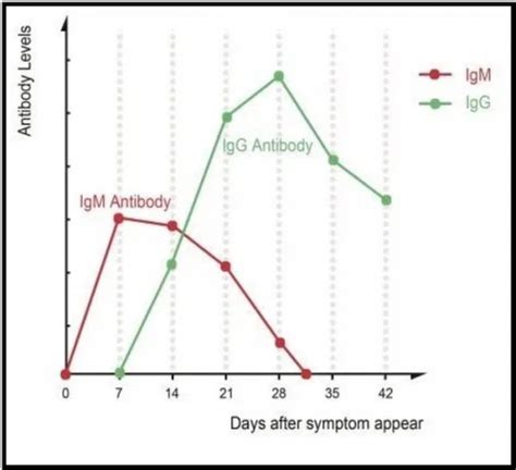 IgG-and-IgM-Antibody-levels-and-symptoms-timeline | Provider Practice ...