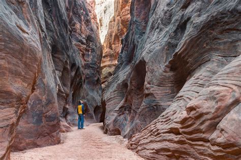 The best hiking trails Southern Utah has to offer | HelloTDS Blog