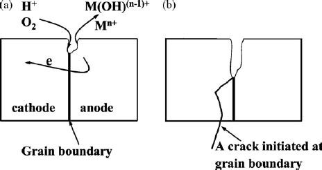 Schematic of corrosion fatigue crack initiated at boundaries of ␣ / ␥... | Download Scientific ...