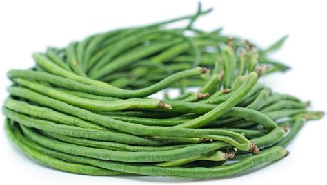 China Long Beans Information, Recipes and Facts