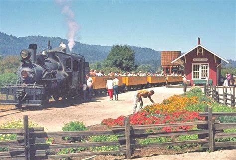 Santa Cruz Trains: Railroads of the Monterey Bay: Roaring Camp Railroads