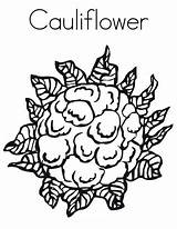 Cauliflower Coloring Page sketch template