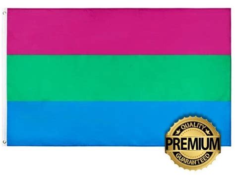 Polysexual Pride Flag Large Premium Quality Poly Flag 5ft X - Etsy