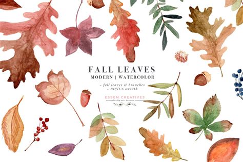 watercolor leaves fall clipart 10 free Cliparts | Download images on Clipground 2024