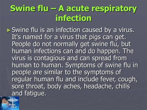 PPT - Swine flu prevention PowerPoint Presentation, free download - ID:4826