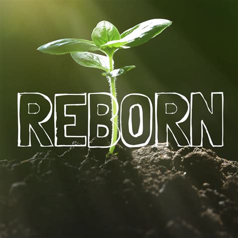 Reborn – Examples of Christ