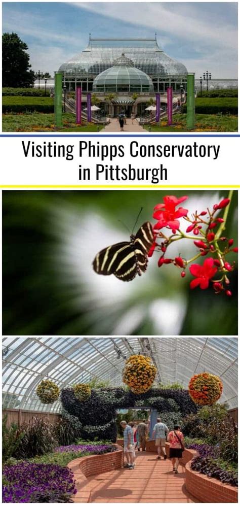 Exploring the Beauty of Phipps Conservatory in Pittsburgh - Uncovering PA