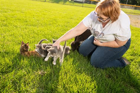 Volunteer Jobs – Humane Society of Genesee County