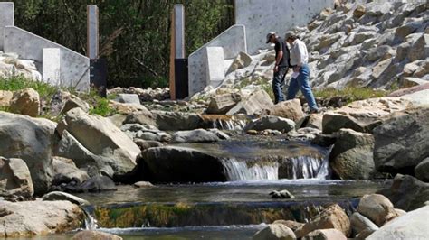 Experts criticize efforts to help endangered fish | CTV News