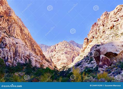 Spring Mountain National Recreation Area, Nevada, USA Stock Photo ...