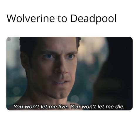 Wolverine vs Deadpool : r/marvelmemes