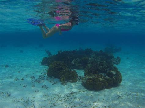 Belize Barrier Reef Snorkeling