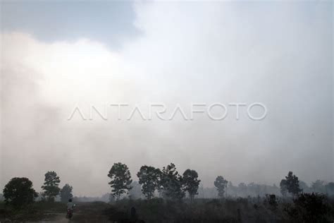 KEBAKARAN HUTAN GAMBUT RIAU | ANTARA Foto