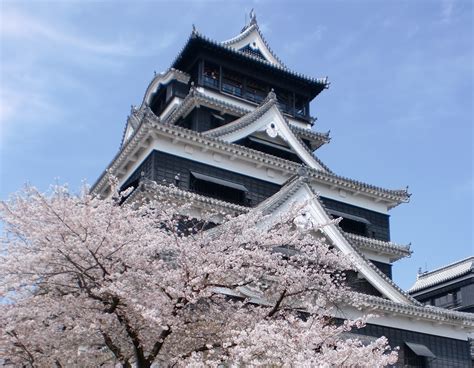 Fukuoka: Cherry Blossom viewing at Kumamoto castle