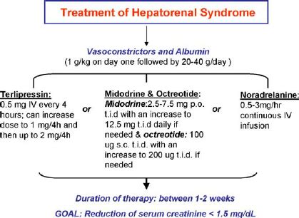 Treatment strategy for patients with hepatorenal syndrome. Terlipressin... | Download Scientific ...