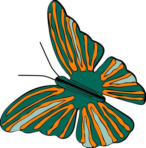 Butterfly Bug Bugs · Free vector graphic on Pixabay