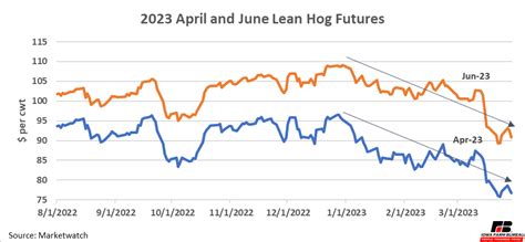 Hog Market Update: March 2023