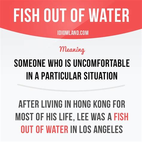 fish out of water idiom - Поиск в Google | English idioms, Idioms and phrases, English words