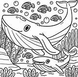 Whale Animal Coloring Page For Kids 10993649 Vector Art At Vecteezy sketch template