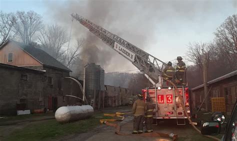 Fire at poultry farm leaves 3,000 chickens dead - Boston News, Weather, Sports | WHDH 7News