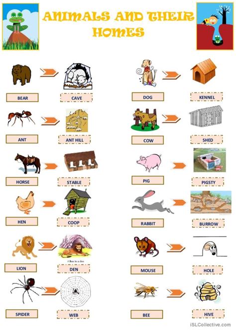 Animals and their Homes: English ESL worksheets pdf & doc