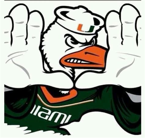 134 best images about Miami hurricanes on Pinterest | Duke university ...